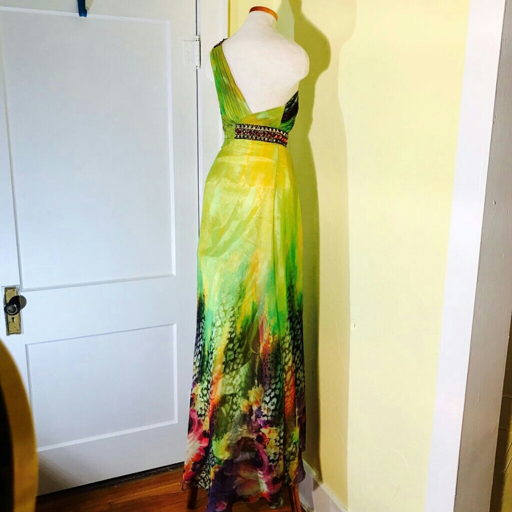 Anny Lee chiffon dress - Picture 4 of 8