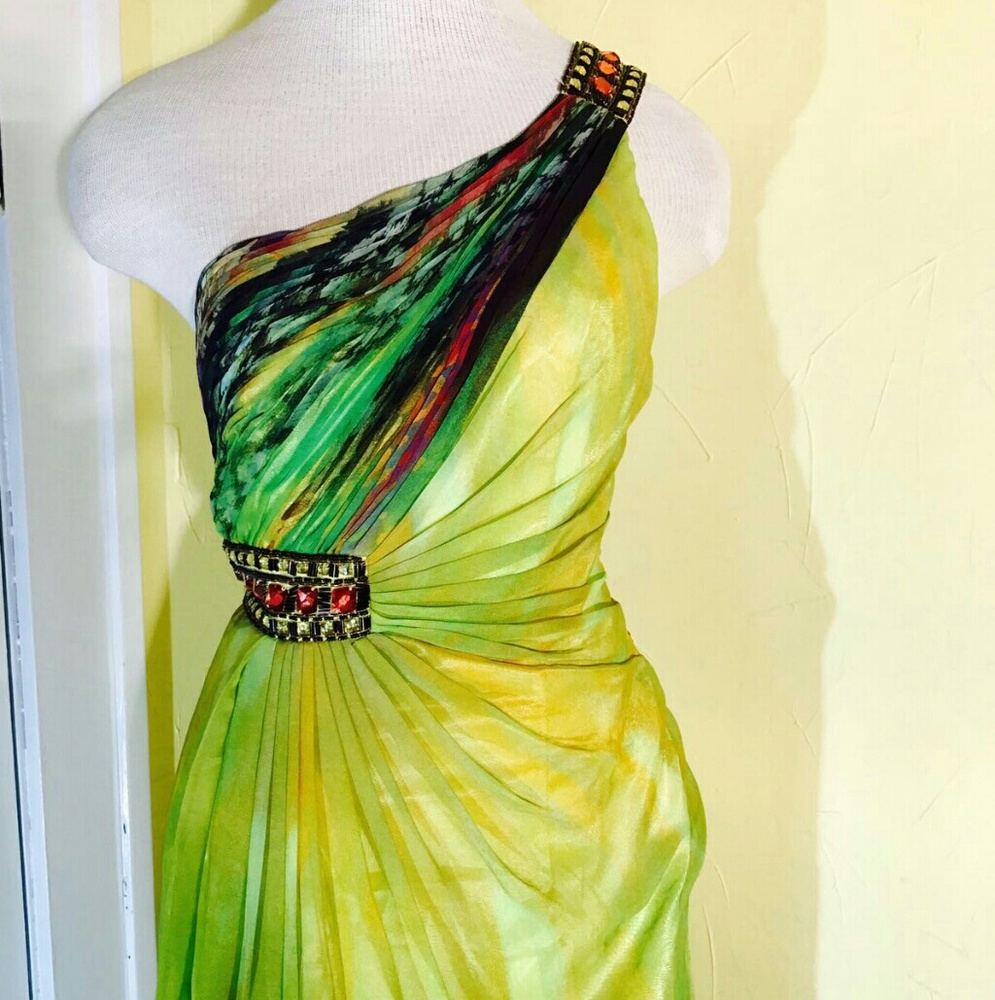 Anny Lee chiffon dress - Picture 2 of 8