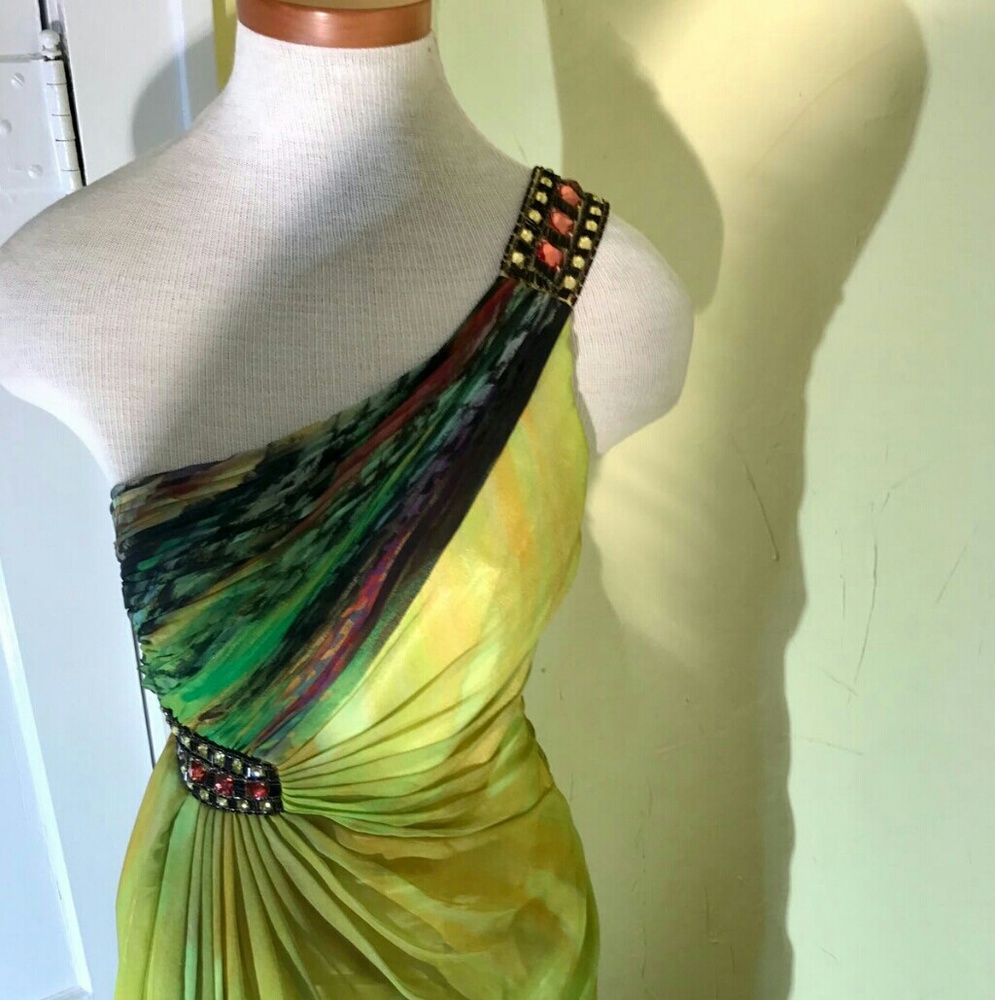 Anny Lee chiffon dress - Picture 8 of 8