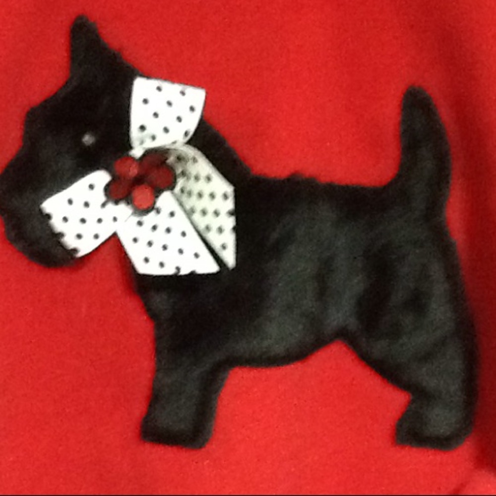 Little girl red poncho