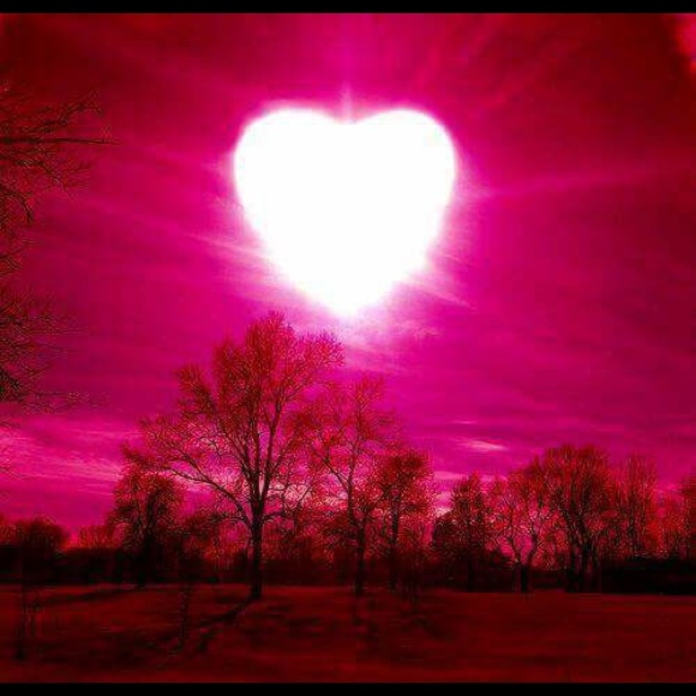 Meet your Posher, Jenni