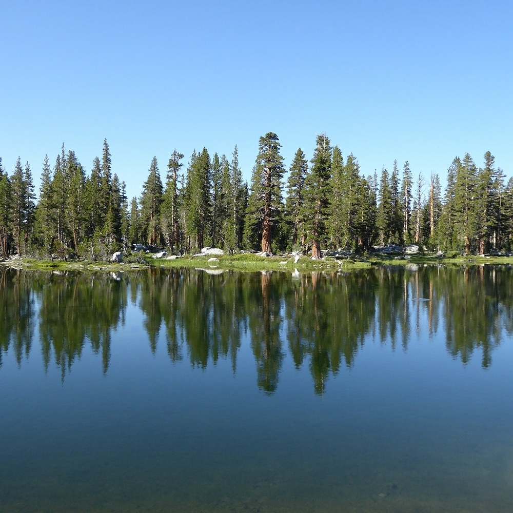 Meet your Posher, Cynthia