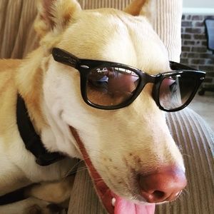 Meet your Posher, Angelo