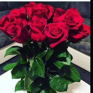 Meet your Posher, Solimar