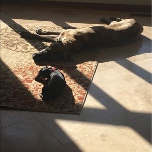 Meet your Posher, Colleen