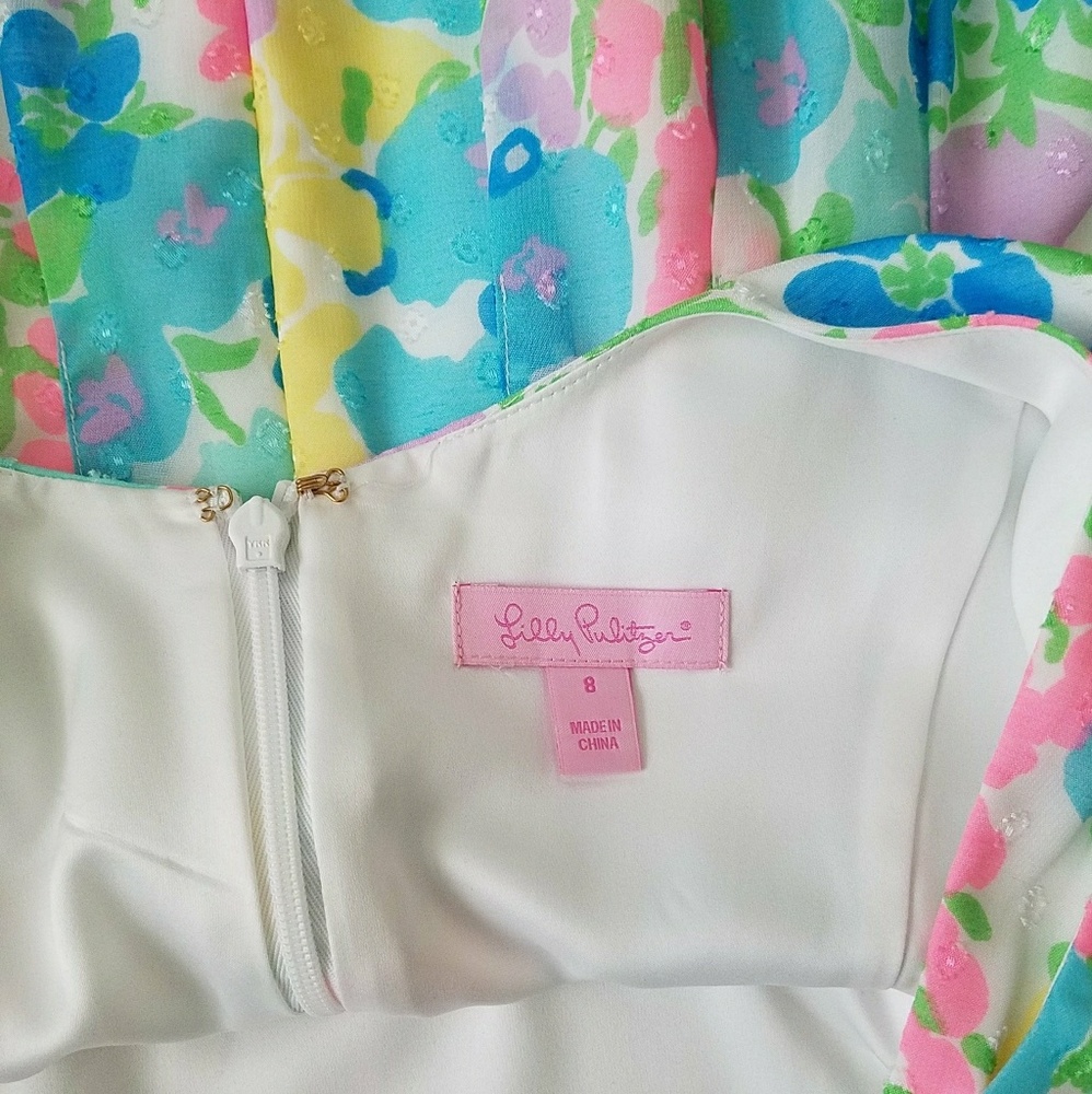 Lilly Pulitzer Posey Dress in Spring Fling - Picture 5 of 5