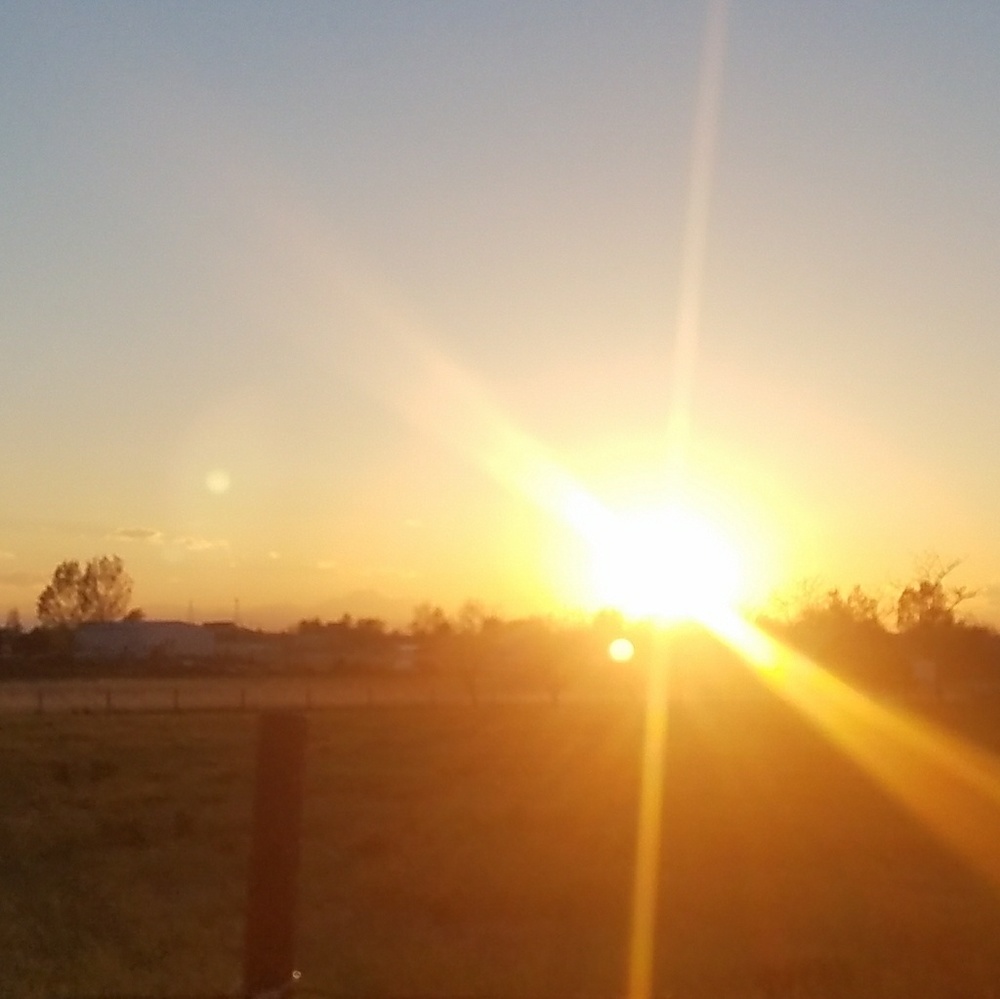 Meet your Posher, Rebekah