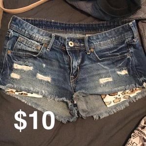 Jean Shorts from Marshall's
