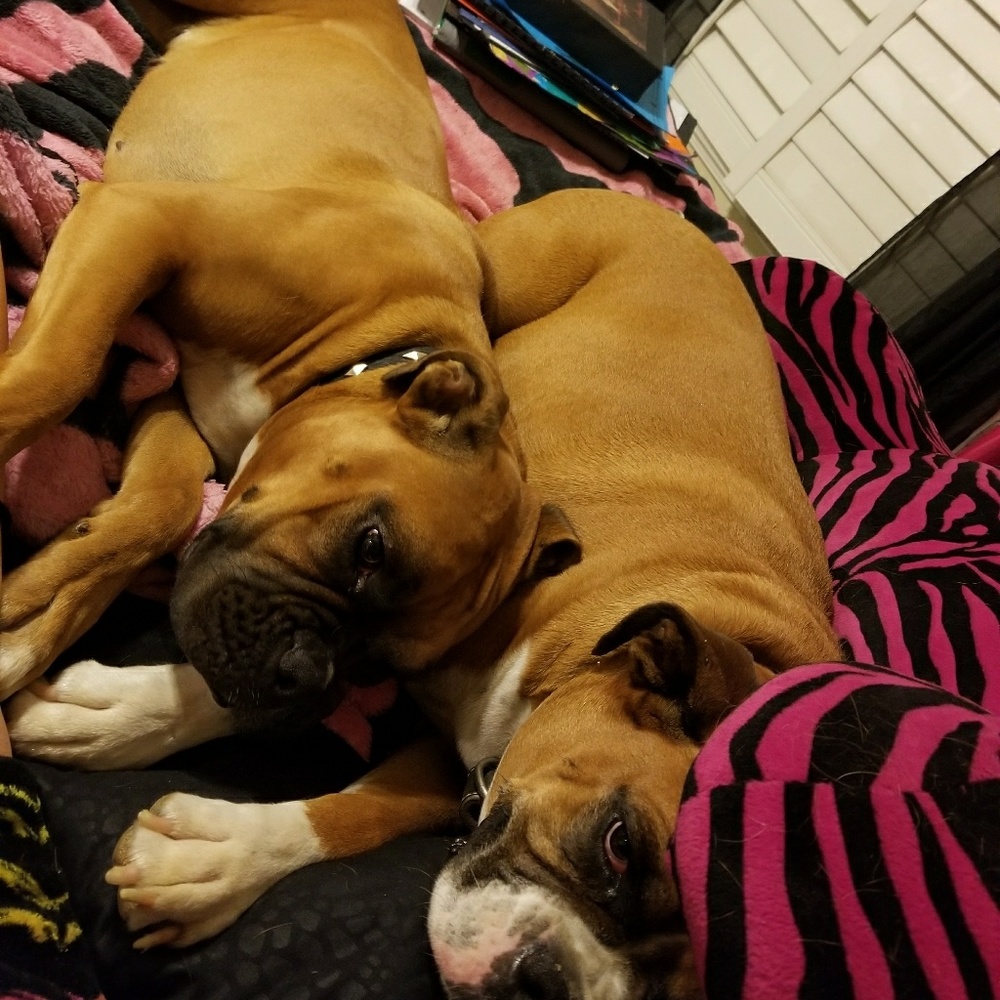 Meet your Posher, Mary