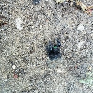 Meet your Posher, Sally