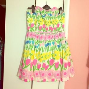 Lilly Pulitzer Payton Dress