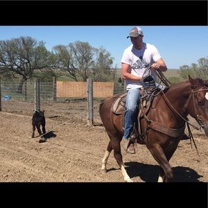 Meet your Posher, Creighton