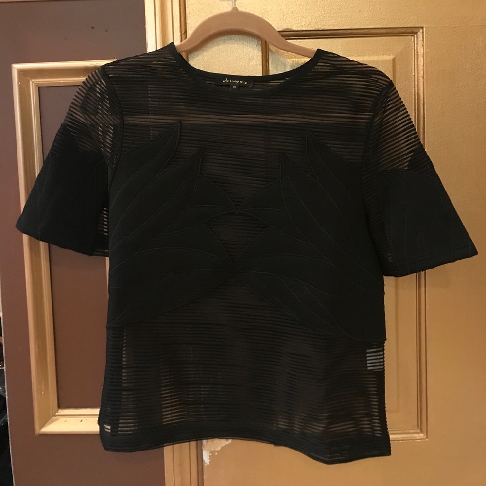 Whitney Eve Mesh top