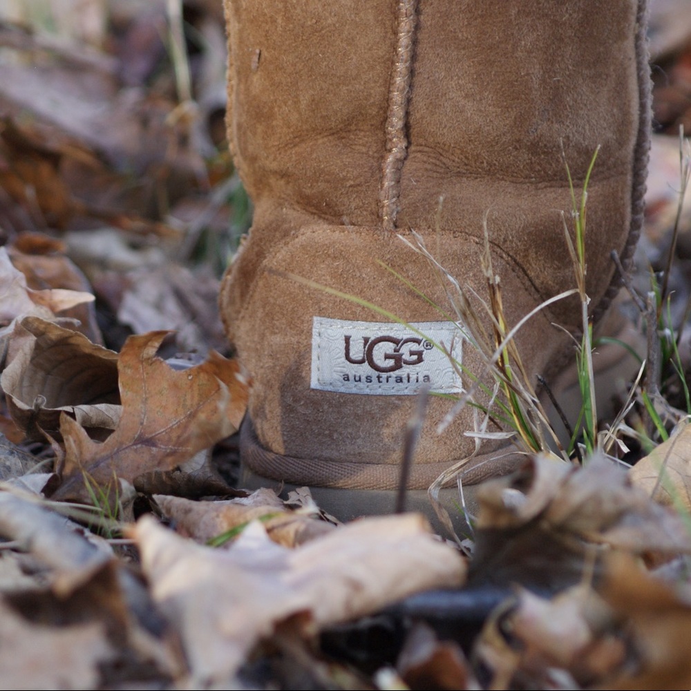 Chestnut Uggs (read description)