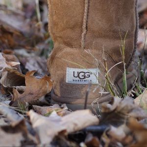 Chestnut Uggs (read description)