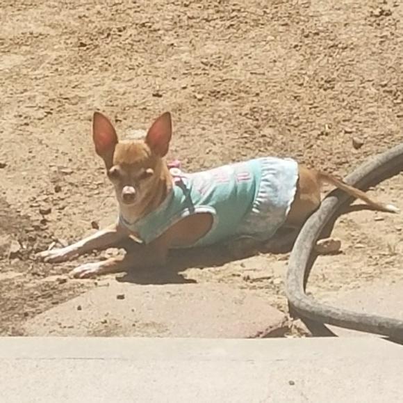 Meet your Posher, Ruth - Picture 1 of 1