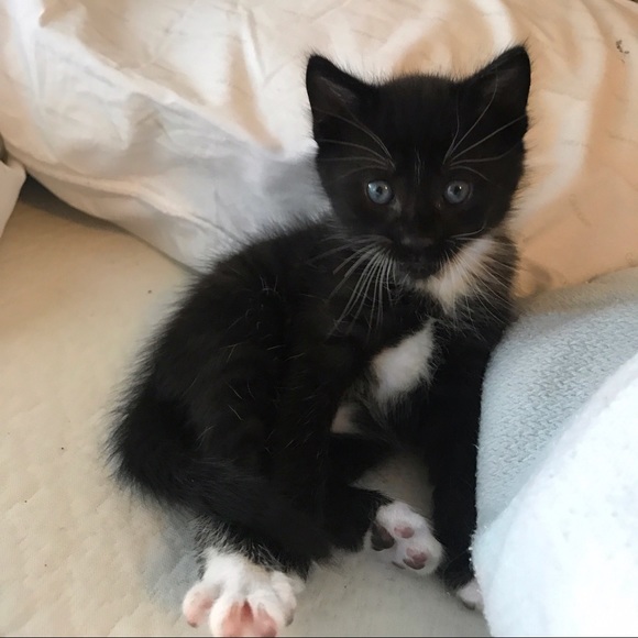 Meet your Posher, Mikayla - Picture 1 of 1