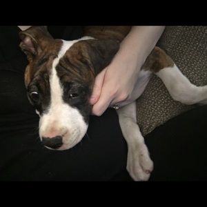 Meet your Posher, Pat