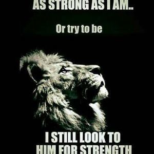 Meet your Posher, Beverly