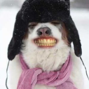 Meet your Posher, Edith