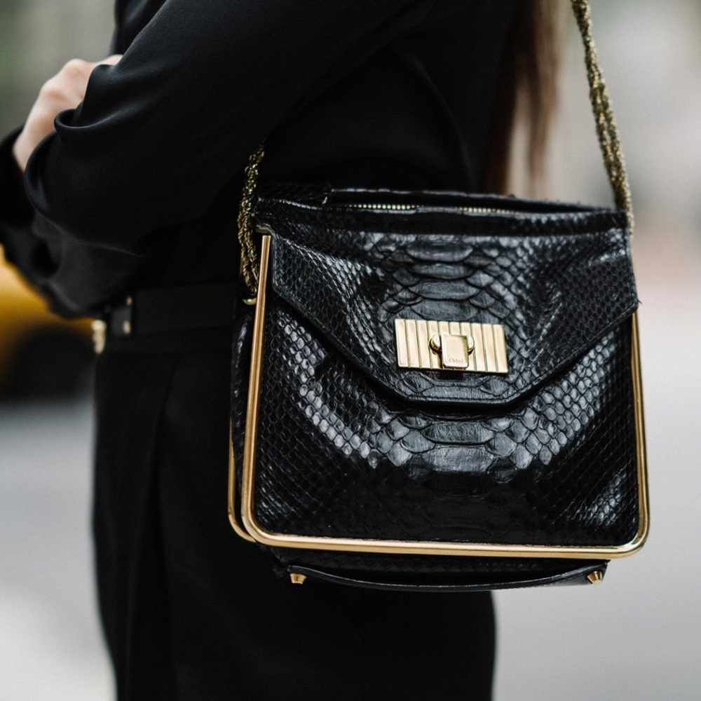 Authentic Chloe Snake Skin Bag