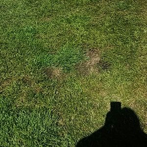 Meet your Posher, Margarita