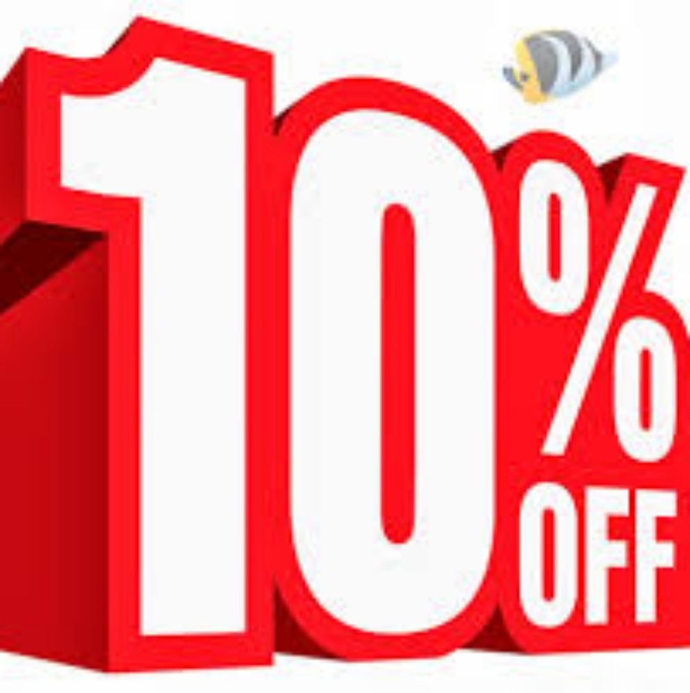 10 percent off everything for 24 hours ONLY😚