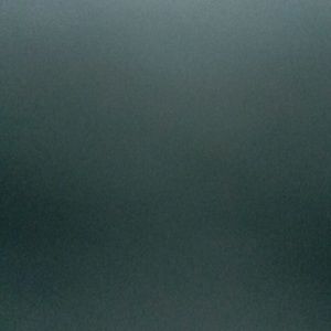 Meet your Posher, Keshia