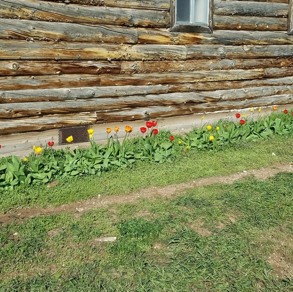 Meet your Posher, Rendy - Picture 1 of 1