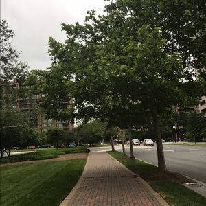 Meet your Posher, Zahraa