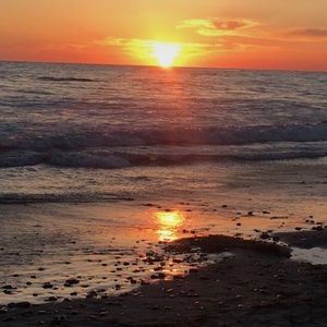 Meet your Posher, Des