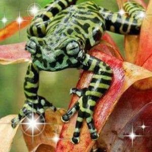 Meet your Posher, Barbara