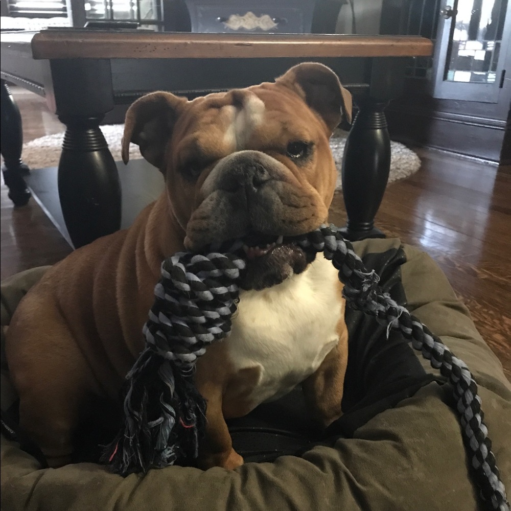 Meet your Posher, Pam