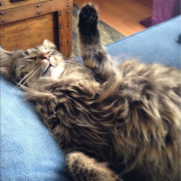 Meet your Posher, Tracey - Picture 1 of 1