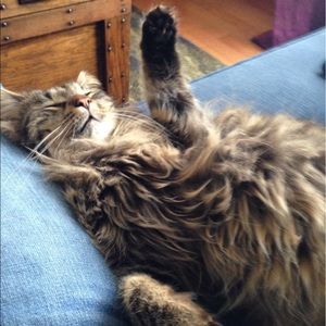 Meet your Posher, Tracey