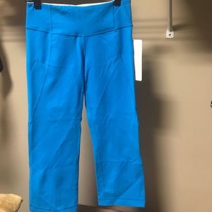NWT Never been worn Lululemon Gather &Crow Crop S4