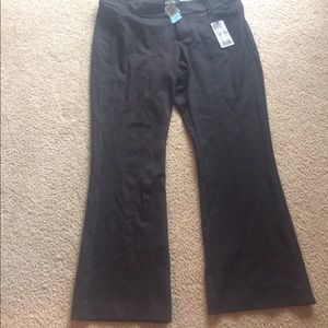 Torrid pants short 20