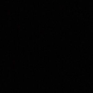 Meet your Posher, Beatriz