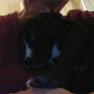 Meet your Posher, Deanna