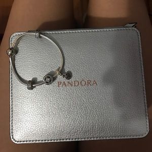 Pandora Winter Collection Charm Bracelet Set
