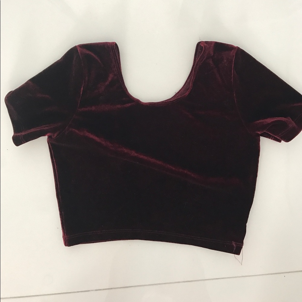 American Apparel Velvet Crop Top