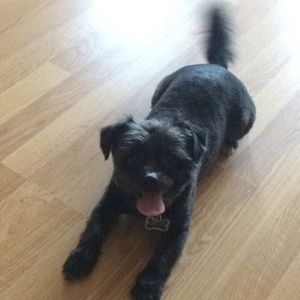 Meet your Posher, Marisa