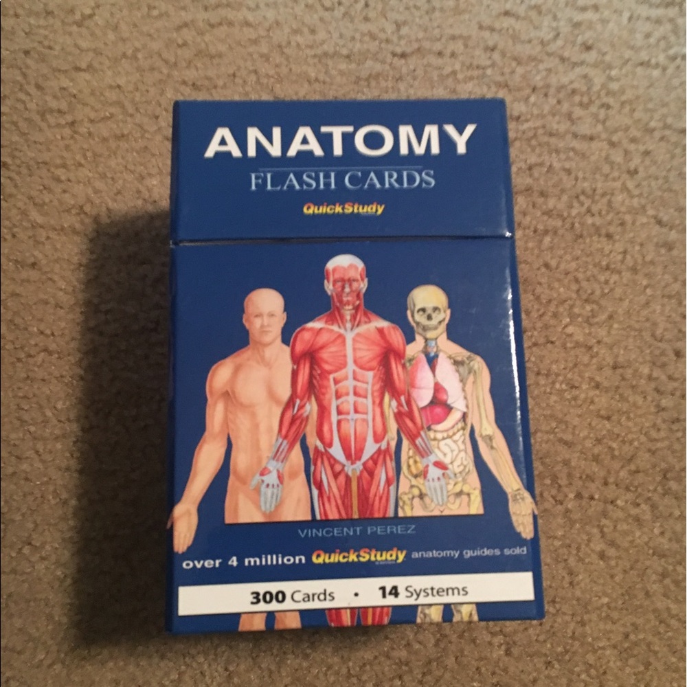 Anatomy flashcards