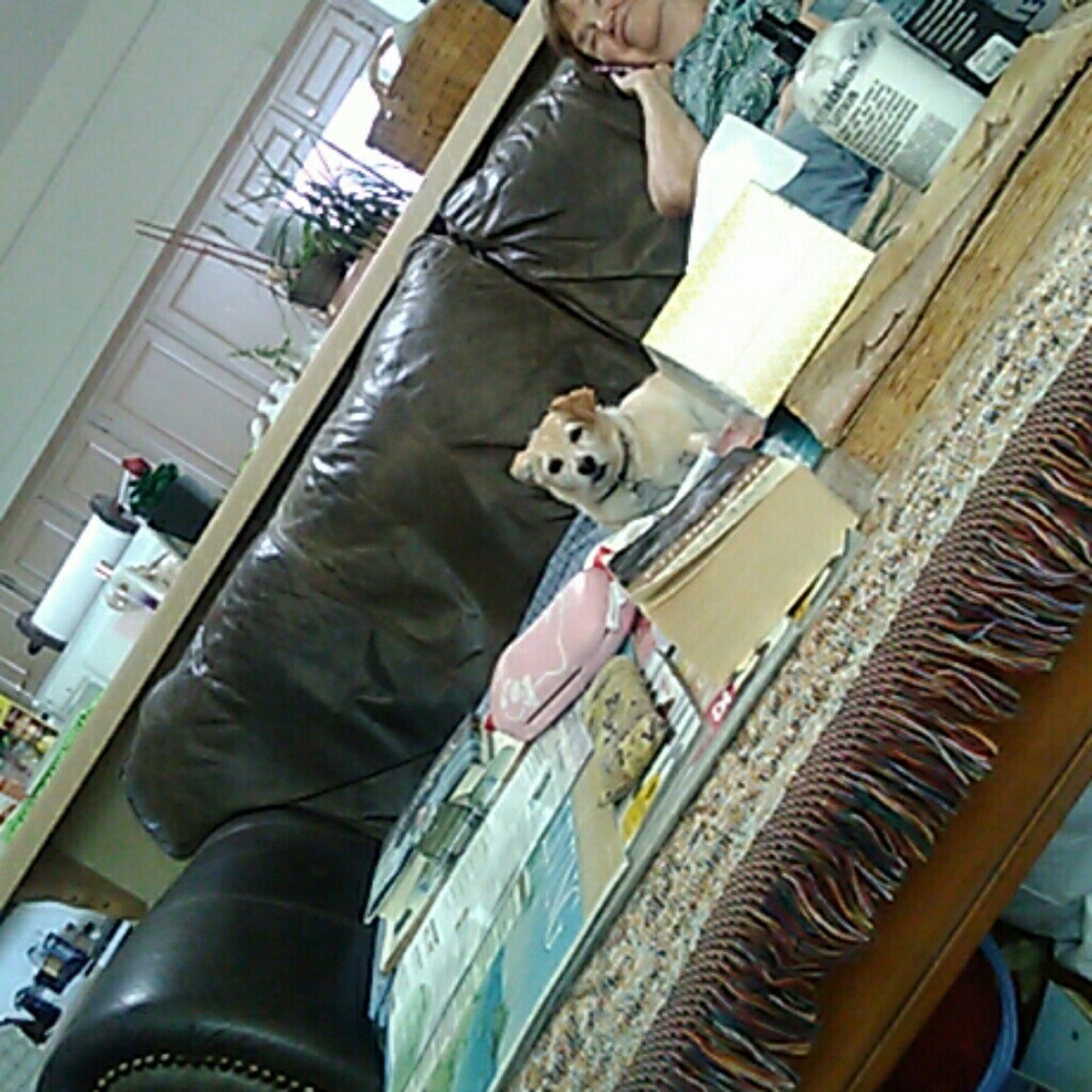 Meet your Posher, Jan