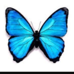 Meet your Posher, Marvin