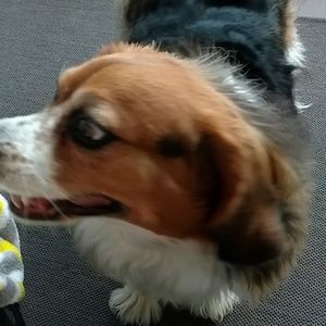 Meet your Posher, Lee ann