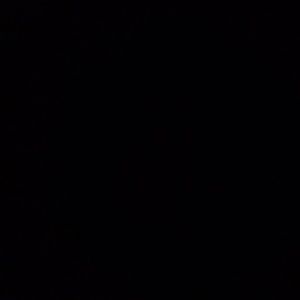 Meet your Posher, Shelly