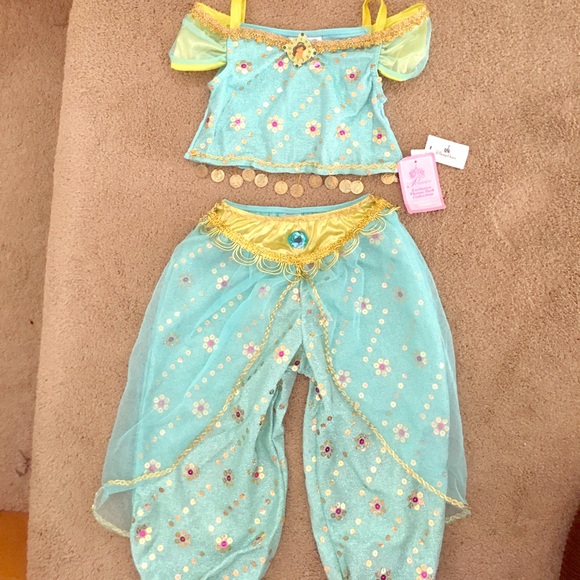 Disney Costumes Theme Park Collection Jasmine Costume Pants Poshmark