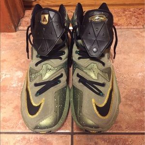 Nike Lebron James: sneakers