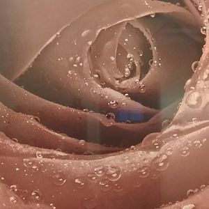 Meet your Posher, Renee